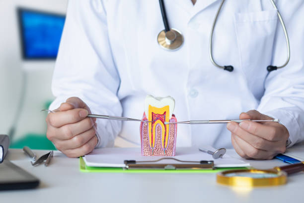 Best Emergency Root Canal Treatment in Takoma Park, MD